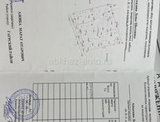 Цитрусовый 24 сотки
