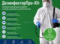 дезинфекция,дезинсекция 