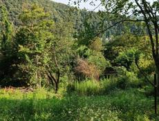 Участок с красивым видом 