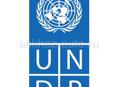 Программа развития ООН