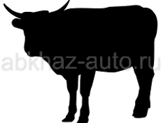 Продаётся бык 🐂 400кг