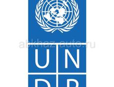 Программа развития ООН приглашает 