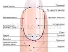 Ведётся набор на обучения Ногтевого Сервиса в Гулрыпшах