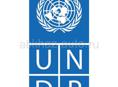 Программа развития ООН приглашает 