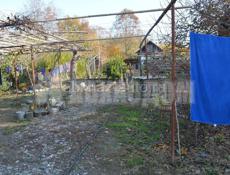 Продается дом с большим садом фейхоа в Эстонке (с. Докупыт, Абхазия) 900 000 руб.