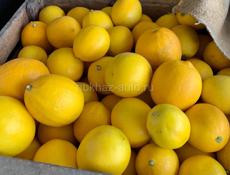 Продаю лимоны 