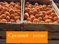 Продаю мандарин 🍊 