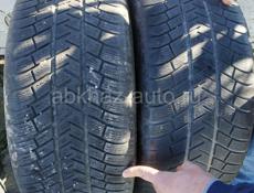 Шины 225/45R19