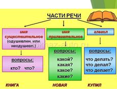 Занятия с детьми/ подготовка детей в школу