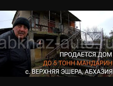 Продается дом в с. Верхняя Эшера, Абхазия. Сад мандариновый, сбор до 5 тонн.