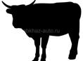 Продаётся бык🐂 160кг.