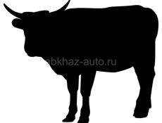 Продаётся бык🐂 160кг.