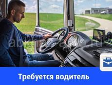 Требуются водители категории D