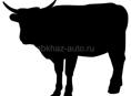 Продаётся бык 🐂150кг.