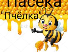 Пчеломатки, Пчелосемьи, Отводки, Пчелопакеты. На Выбор. 