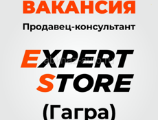 Продавец-консультант в магазин техники Эксперт (г.Гагра)