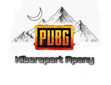 Pubg mobile Турниры/Праки/Розыгрыши