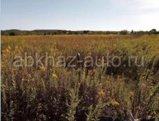 Продается земельный участок в Лдзаа