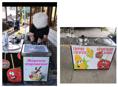 Продаётся апарат для тайского мороженого, варёной кукурузы и яблок в карамели 