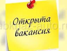 Требуется педагог начальных классов в г.Гудаута в академию Эрудит. 