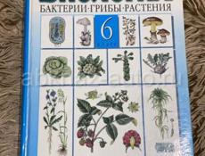 школьные книги 