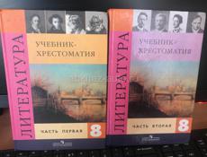 Продаю русскую литературу обе части за 8 класс