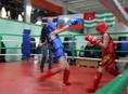 Персональные тренировки по Тайскому Боксу 