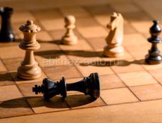  обучение шахматам 