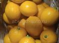 Продам лимоны оранжевые сладкие
