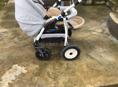 Детская коляска и ходунок