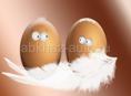 Яйца на инкубацию 