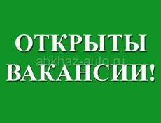 Вакансии по Гудаутскому-Гагрскому районам в компанию ООО «Мир пива»