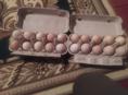 Продаются домашние яйца на  Пасху 10шт150 р