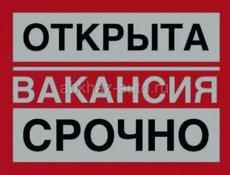 Вакансия 