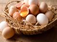 Куплю домашние яйца 