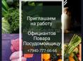 Требуются официанты, посудомойщица, повар