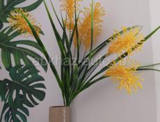 Продам Декоративные тропические цветы