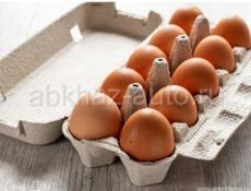 Продаю яйца инкубационные и для пиши породы Брамма 