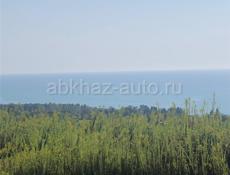 25 соток( Дружба )