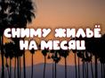 Сниму квартиру/дом на месяц