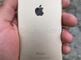 iPhone 6 gold 