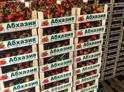 Абхазская клубника как новый бренд. Экспорт этой ягоды на российский рынок за последние пять месяцев составил 208 тонн