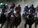 Небывалый результат: лошади из Абхазии заняли призовые места на скачках в Краснодаре