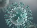 В Абхазии выявлены новые случаи заболевания коронавирусом