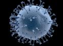 Еще пятеро заболели коронавирусом в Абхазии