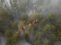 Специалисты МЧС Абхазии отправились на тушение пожара в Гагрском районе  