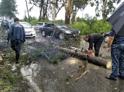 Движение на автотрассе Псоу-Ингур перекрыли упавшие деревья  