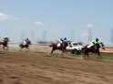 Абхазские лошади победили на скачках в Краснодарском крае