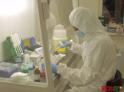 38 случаев заболевания коронавирусом выявлено в Абхазии с 19 по 25 июля