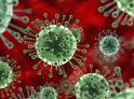 Более 300 случаев коронавируса выявили в Абхазии за первую неделю августа